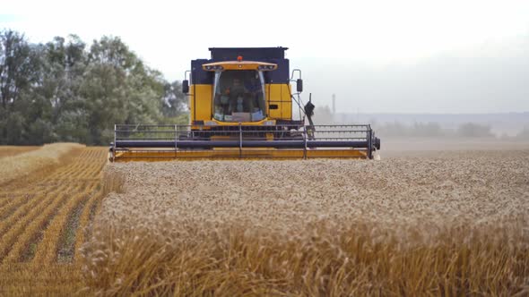 Modern combine harvester in action. 