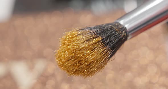 Brush Gains Glitter to Be Used in Makeup