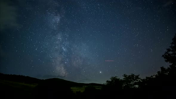 Night Sky with Milky Way Above Forest