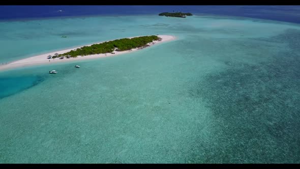 Aerial top down travel of idyllic seashore beach wildlife by blue water and white sandy background o