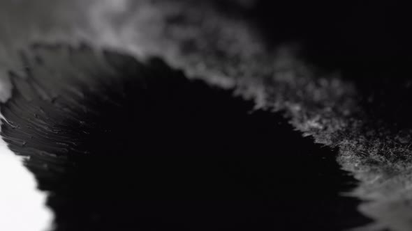 Ink Stain Background Wet Paper Texture Black White alt