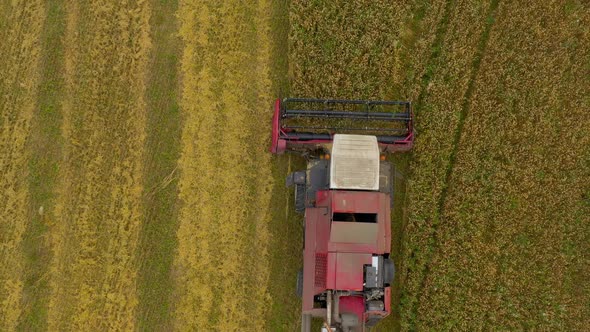 Harvester Harvests Wheat Crop On Field