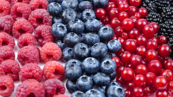 Ripe raw berries of raspberry, red currant, blackberry and bog whortleberry, background