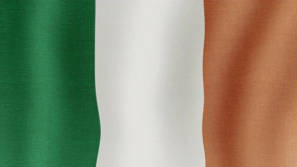 The national flag of Irish