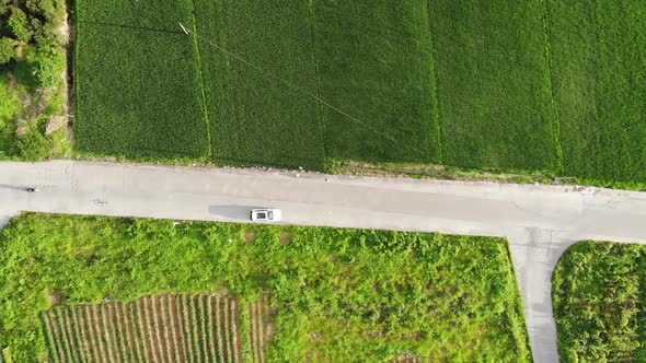 Aerial Photography Of Rice Fields Rivers Birds Cars And Roads In Zhe3