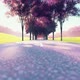 Driving On The Road During The Day - VideoHive Item for Sale