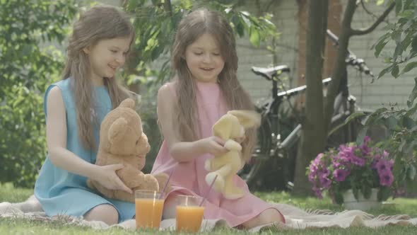 Charming Beautiful Twin Sisters Playing with Teddy Bear and Toy Rabbit Outdoors. Portrait of