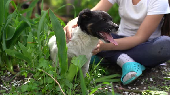 A Girl is Playing and is Training a Little Dog