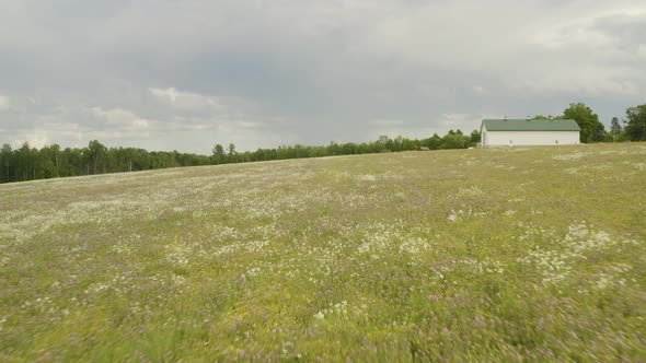 Flying over wildflowers in meadow, Increasing aerial flight