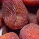 Animated stop motion texture Sun dried brown apricots, traditional  fruit. - VideoHive Item for Sale
