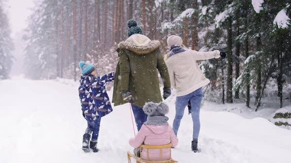 Rear view of family walking in winter forest. Shot with RED helium camera in 8K.