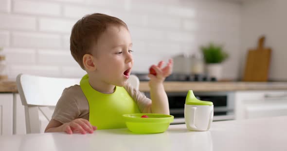 Cute Little Baby Boy Sits at a Table in the Kitchen and Eats Strawberries From Green Plate with Left