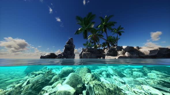 Split View Cross Section of Sea Water and Palm Trees on Island alt