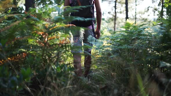 A Man Walking On Forest