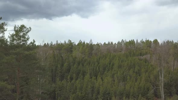 Drone ascend from a forest revealing scenic look out over a lake and nature