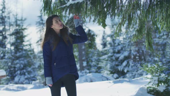 Girl touching a snowy branch alt