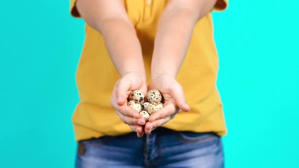 The Young Woman Holds a Lot of Quail Eggs in Her Hands