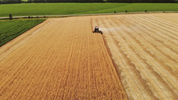 Aerial View Combine Harvester Gathers the Wheat Crop. Wheat Harvesting Shears. Combines in the Field