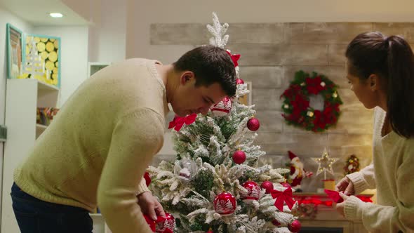 Cheerful Young Couple Setting Up Their Christmas Tree