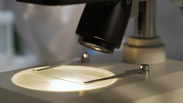 Lab Assistant Removing Slide From Microscope Stage, Finishing Studying Material