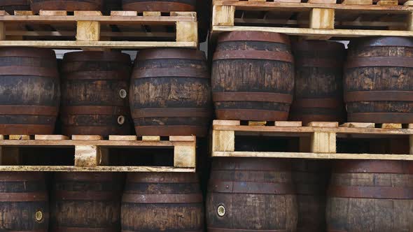 Pallets with vintage oak barrels of craft beer
