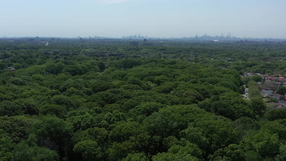 An aerial view above green tree tops in a park on a sunny day. The drone camera, focused on the New