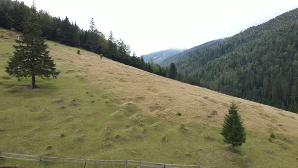 Nature of Ukraine: Carpathian Mountains Slow Motion. Aerial View