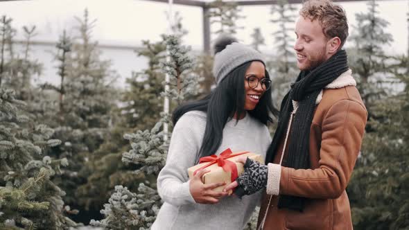 Happy Multiracial Couple Exchanging Gifts at Sprue Trees Market