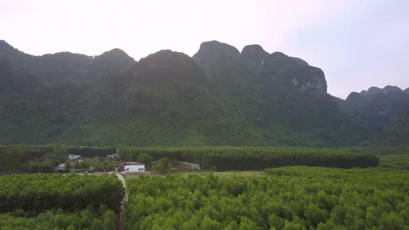 Aerial Motion Above Green Forest Areas and Tiny Village