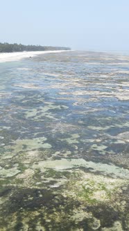 Vertical Video of Low Tide in the Ocean Near the Coast of Zanzibar Tanzania