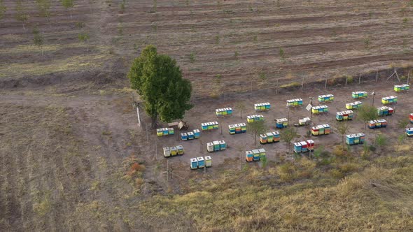 Independent Automated Beehives 1