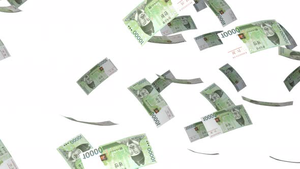 10000 South Korean Won bills falling down. Banknotes isolated on white background.