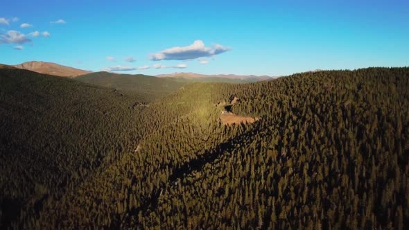 Helicopter shot of evergreen coniferous forest and the blue sky in the background in Colorado, USA