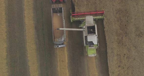 Combine unloading grain seen from above