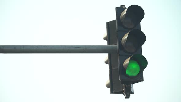 Traffic Light on the Road Regulates Traffic