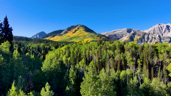 Pull back aerial view of rugged mountains with aspens turning yellow and a valley with a pine forest