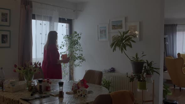 Woman Takes Care of Houseplants in Home Interiors