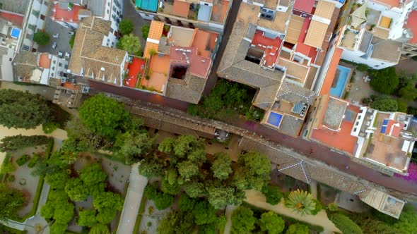 Rooftops and Streets of Seville