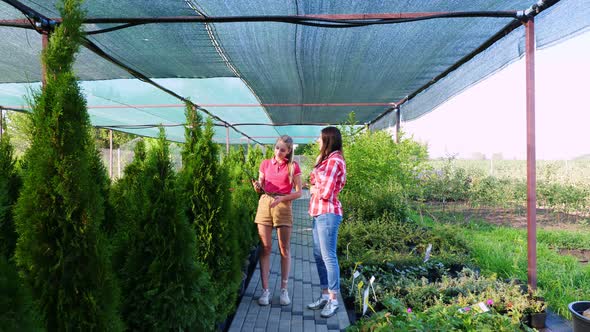 Buyer and Florist Have a Friendly Conversation in Floristic Greenhouse Market. Woman Choosing Plants