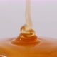 Pouring Honey On White Background - VideoHive Item for Sale