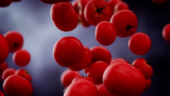 Slow motion animation of the stack of fully-grown tomatoes falling down. HD