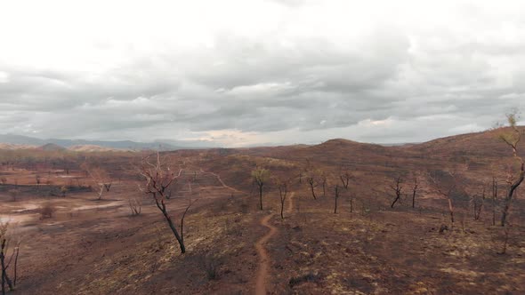 Aerial drone shot, trail winding across scorched earth with overcast sky