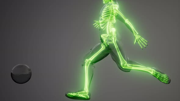 Soccer Player with Visible Bones Medical Scan alt
