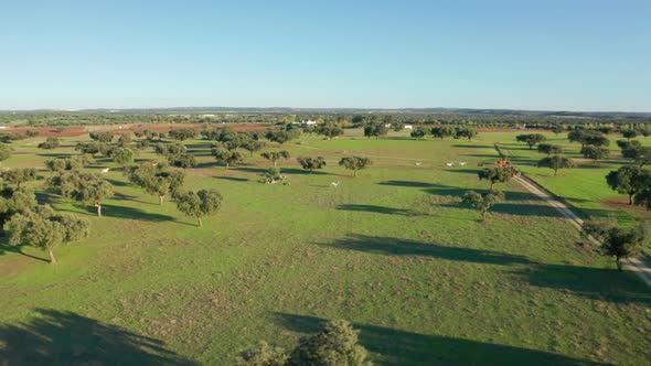 Aerial View of a Beautiful Countryside