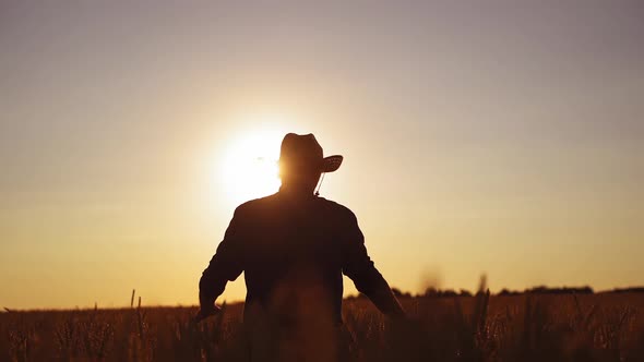 Silhouette of a man in field at sunset. 