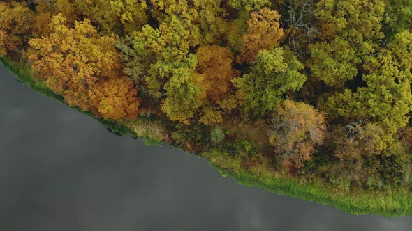 Aerial View of the Colorful Trees That Stand Near the River. Flying Over the Crowns of the Autumn
