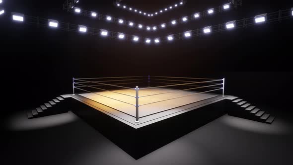 Sports Wrestling And Boxing. Sport 4K Professional Background Animation