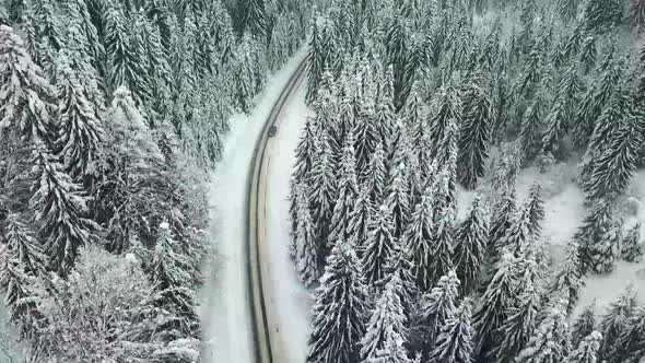 Flight over winter forest, bird's-eye view. 4k