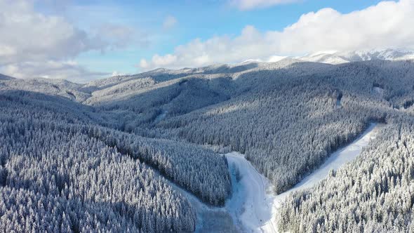 Aerial View on Forest and Mountains in The Winter Time