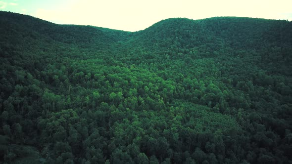 Aerial Drone Footage of Mountains Covered with Green Forest. Aerial Video.